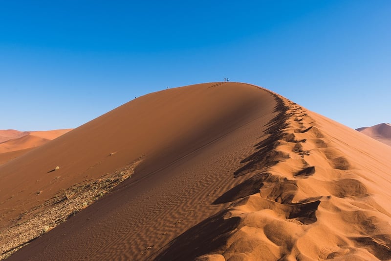 Desert Oasis